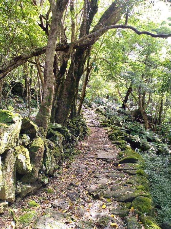 Alojamento Local M&I Lajes das Flores Bagian luar foto